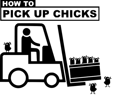 'How to Pick up Chicks' car decal